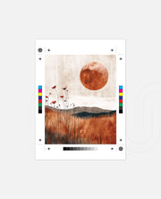 Sunset Meadow Silence