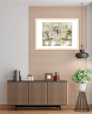 Divine Creation
