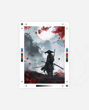 Crimson Moon Ronin