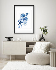 Ocean Shell Symphony