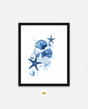 Ocean Shell Symphony