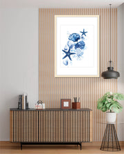 Ocean Shell Symphony