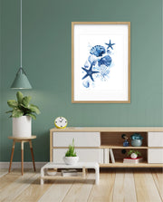 Ocean Shell Symphony