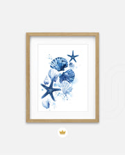 Ocean Shell Symphony