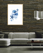 Ocean Shell Symphony