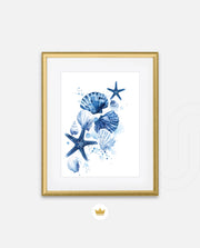 Ocean Shell Symphony