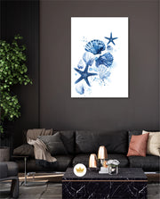 Ocean Shell Symphony