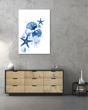 Ocean Shell Symphony