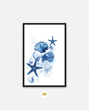 Ocean Shell Symphony