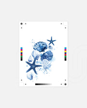 Ocean Shell Symphony