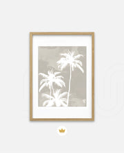 Palm Silhouette