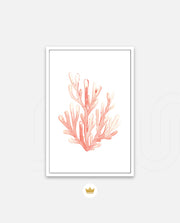 Coral Blush Bloom