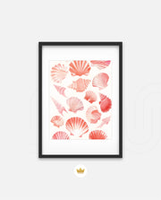 Blush Shell Harmony