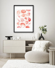 Blush Shell Harmony