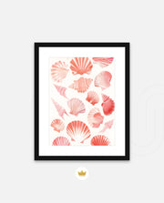Blush Shell Harmony