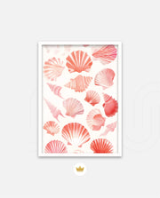 Blush Shell Harmony