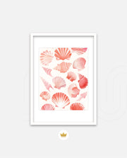 Blush Shell Harmony