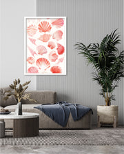 Blush Shell Harmony