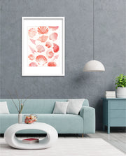 Blush Shell Harmony