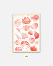 Blush Shell Harmony
