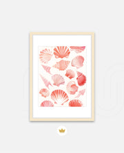 Blush Shell Harmony