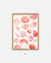 Blush Shell Harmony