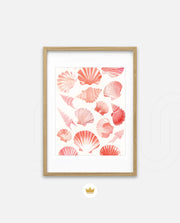 Blush Shell Harmony