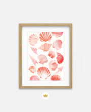 Blush Shell Harmony