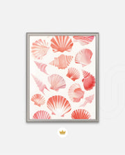 Blush Shell Harmony