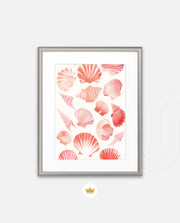 Blush Shell Harmony