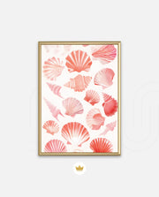 Blush Shell Harmony