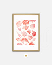 Blush Shell Harmony