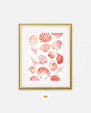 Blush Shell Harmony