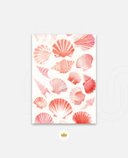 Blush Shell Harmony