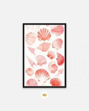 Blush Shell Harmony