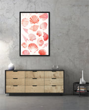 Blush Shell Harmony