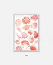 Blush Shell Harmony
