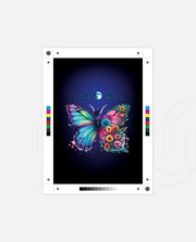 Butterfly Moon