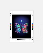 Butterfly Moon