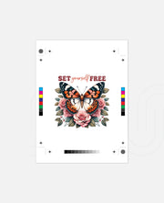 Set Free
