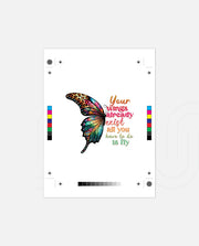 Fly Within