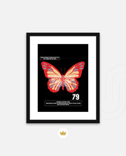 Butterfly Theory