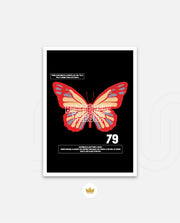 Butterfly Theory