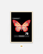Butterfly Theory