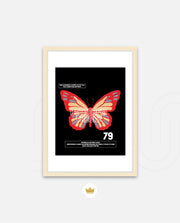 Butterfly Theory