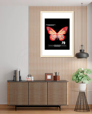 Butterfly Theory
