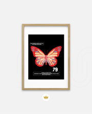 Butterfly Theory