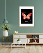 Butterfly Theory