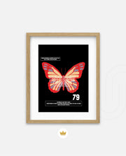 Butterfly Theory