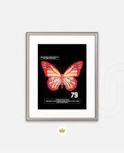 Butterfly Theory